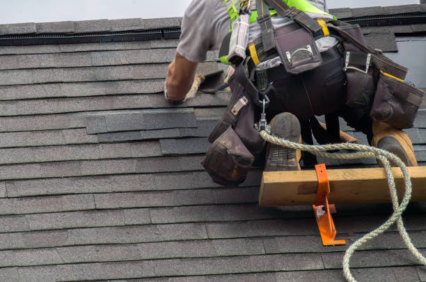 Quick and Trustworthy Emergency Roof Repair Services in Naples, TX