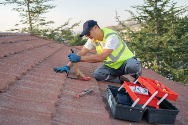 Best Commercial Roofing Services  in Naples, TX