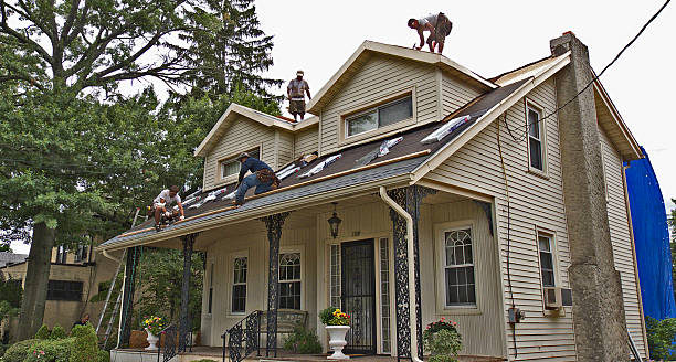 Best Gutter Installation and Roofing  in Naples, TX