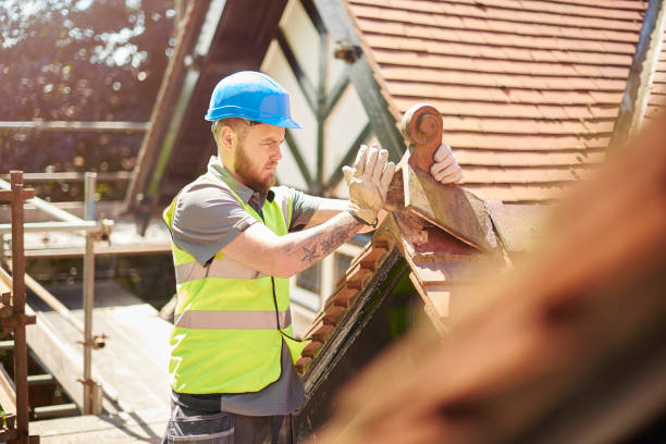 Best Slate Roofing Contractor  in Naples, TX